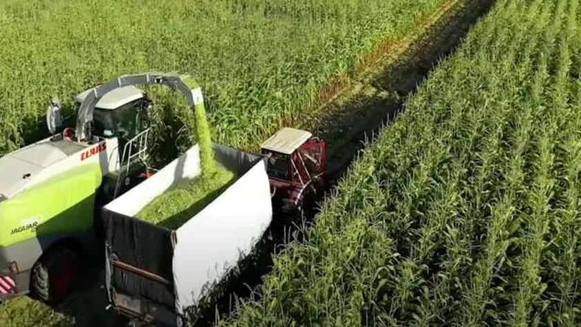 مشروع الدلتا الجديدة