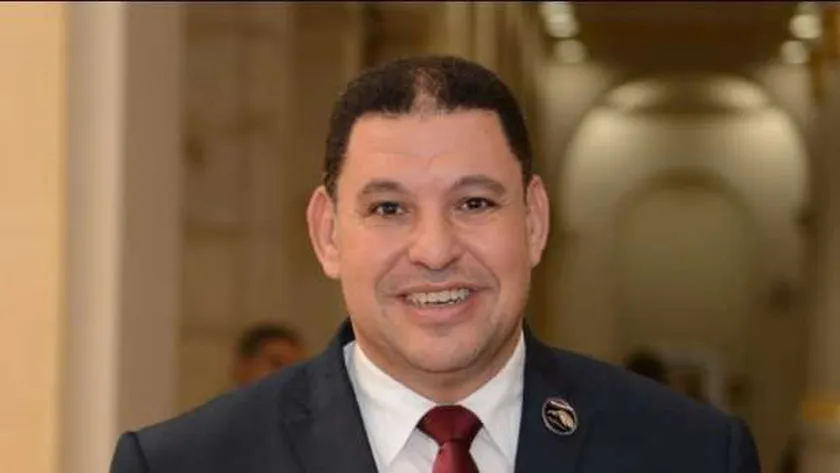 النائب عماد عبد التواب الدرجلي