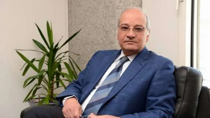 محمود أبو العيون - محافظ البنك المركزي الأسبق