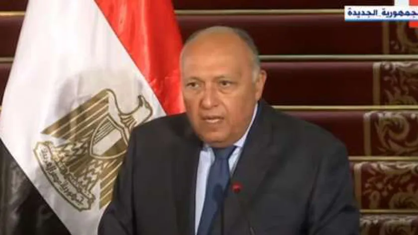 سامح شكري وزير الخارجية