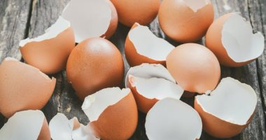 وزيرة البيئة: إنشاء أول مصنع لإنتاج أكياس بديل للبلاستيك من قشر البيض قريبا