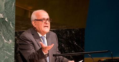 مندوب فلسطين بمجلس الأمن: نعرب عن شكرنا لمصر على جهودها فى وقف العدوان
