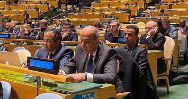 مندوب مصر بالأمم المتحدة: القاهرة تساهم فى جهود السلام والأمن الدولى