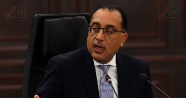 مجلس الوزراء يوافق على التعاقد مع شركة "جريفولز إيجيبت" لمشتقات البلازما