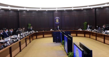 اللجنة الوزارية الاقتصادية: مخزون مصر من جميع السلع الاستراتيجية "آمن"