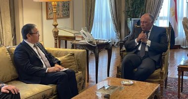 شكرى يبحث مع نائب وزير خارجية كازاخستان دفع علاقات التعاون بين البلدين