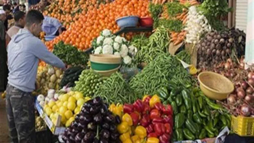 محاصيل زراعية - أرشيفية