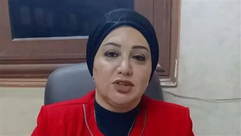 النائبة سولاف درويش وكيل لجنة القوى العاملة في مجلس النواب