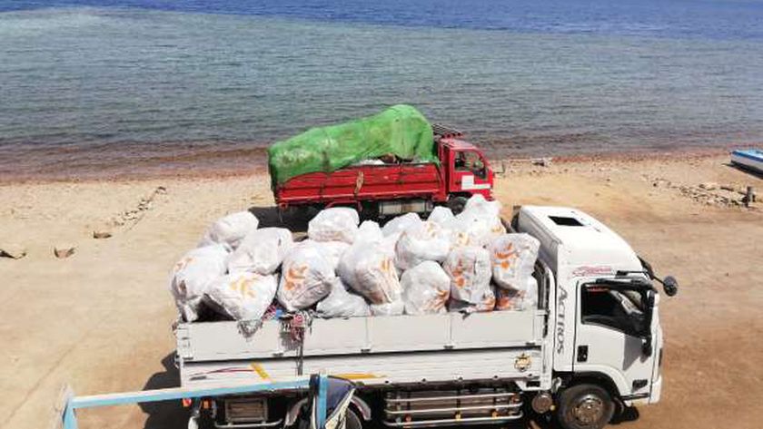 البيئة تنظم حملة تطهير وتوعية بمحمية «أبو جالوم» في جنوب سيناء