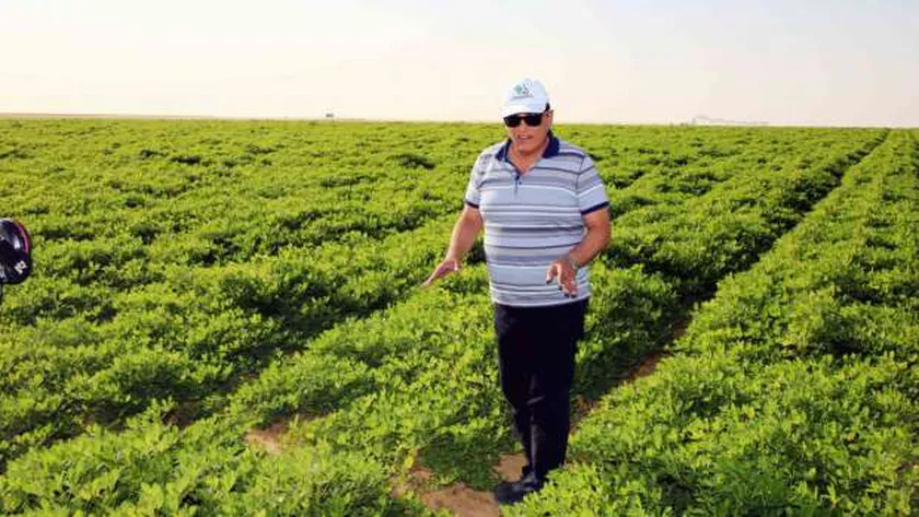 مشروع المليون ونصف فدان