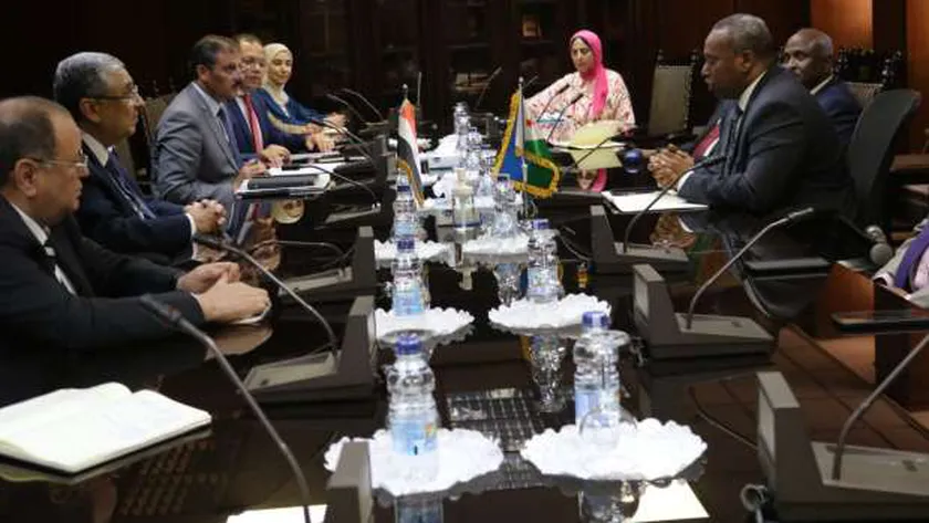 جانب من وزير الكهرباء ونظيره الجيبوتي