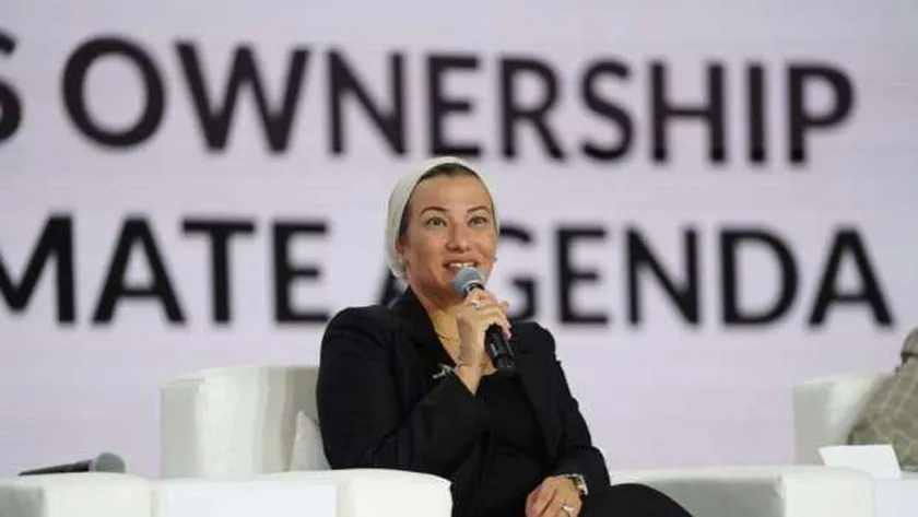 وزيرة البيئة خلال الجلسة