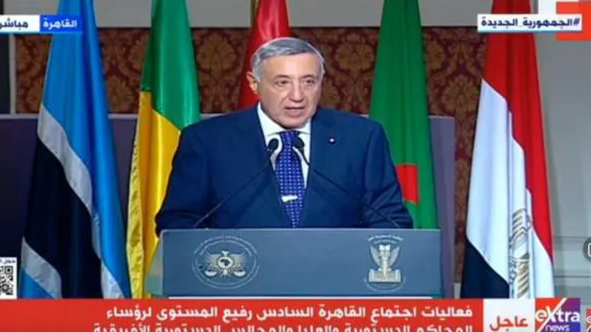 رئيس المحكمة الدستورية العليا