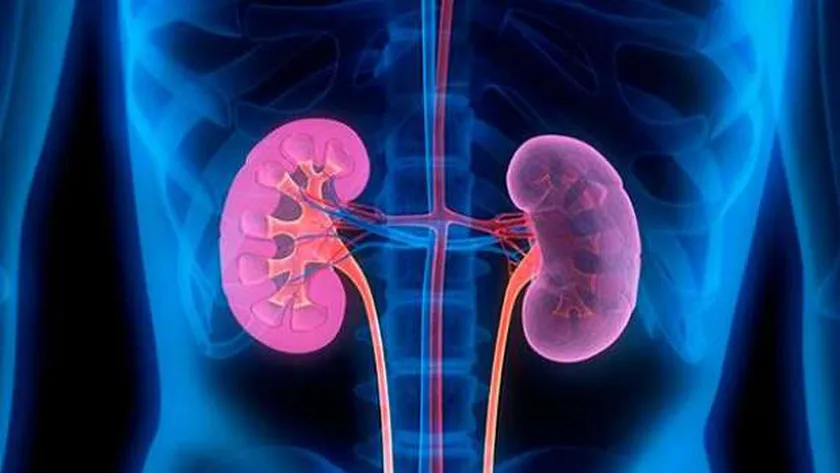 13230809451545083919 أمراض الكلى