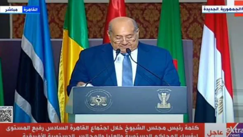 المستشار عبدالوهاب عبدالرازق، رئيس مجلس الشيوخ