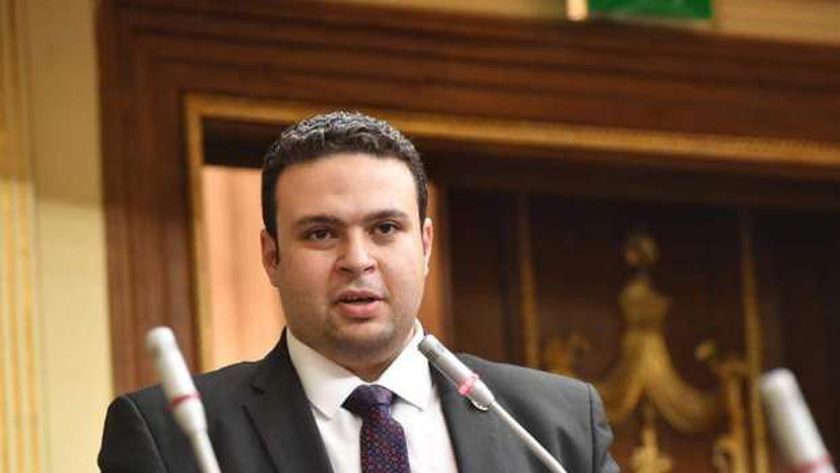 عبد المنعم إمام - عضو مجلس النواب ورئيس حزب العدل