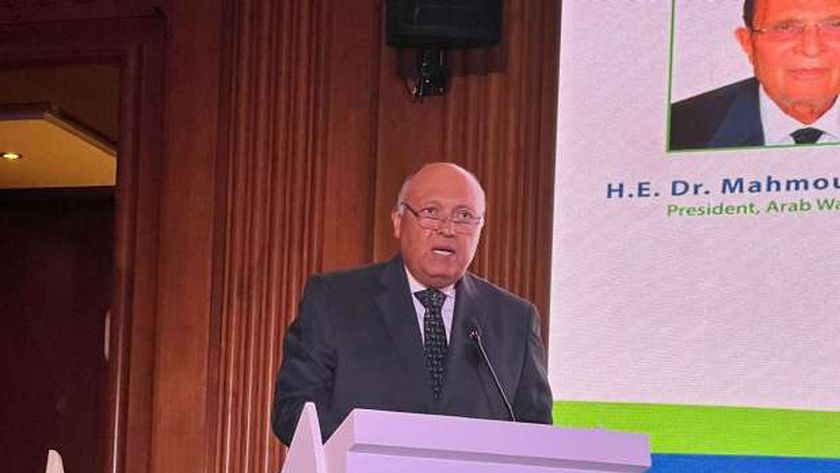 سامح شكري وزير الخارجية