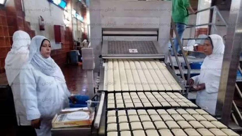 1451273851550072408 مشروعات الوجبات المدرسية