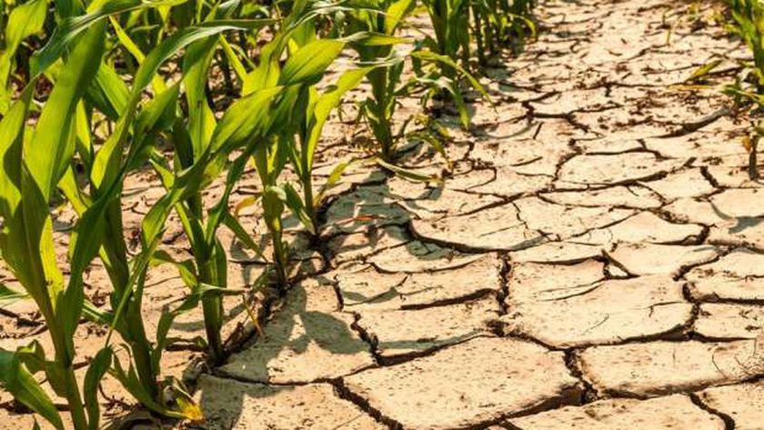 التغيرات المناخية.. صورة أرشيفية