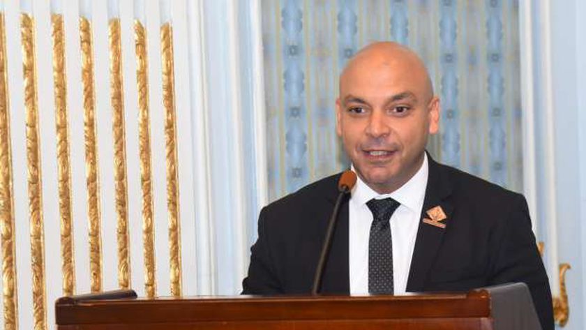 النائب محمود القط