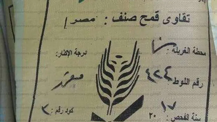 تقاوي القمح