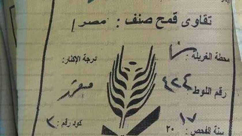 تقاوي القمح