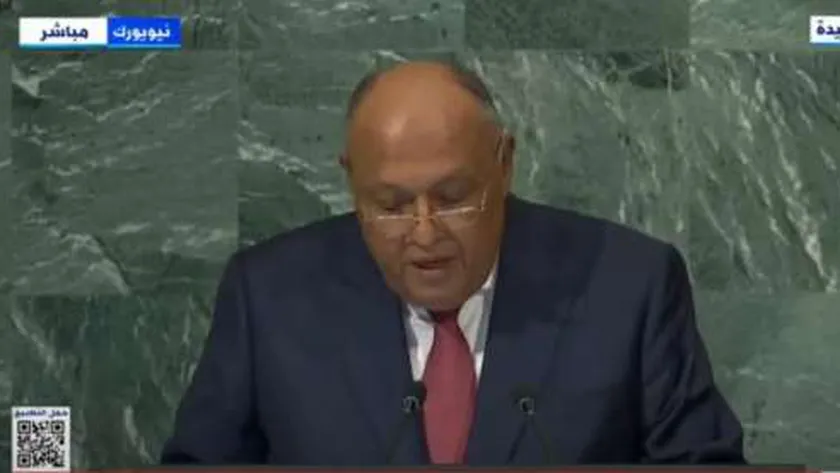 سامح شكري وزير الخارجية