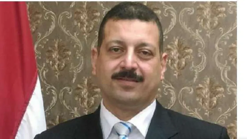 الدكتور أيمن حمزة