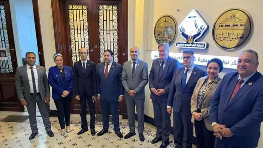 وفد التنسيقية يلتقي نائب بالبرلمان الأوروبي لبحث زيادة أطر التعاون