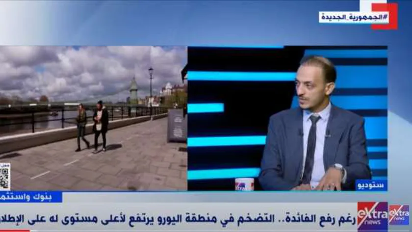 محمد هشام، المحلل الاقتصادي