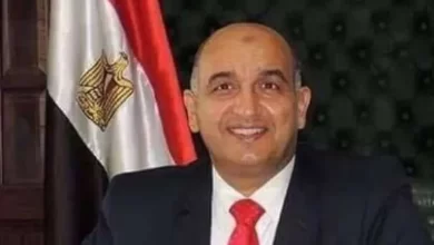 الدكتور سيد الصيفي، عميد كلية التجارة جامعة الإسكندرية