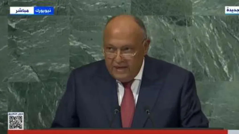 سامح شكري وزير الخارجية