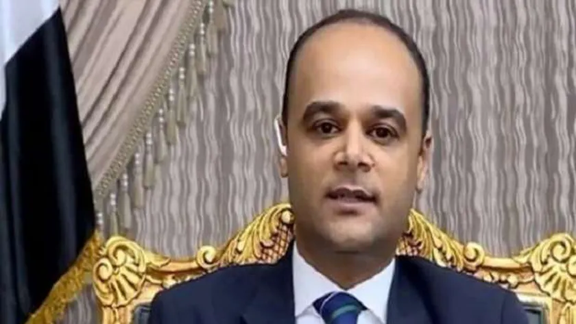 السفير نادر سعد