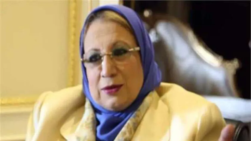 النائبة إيناس عبدالحليم