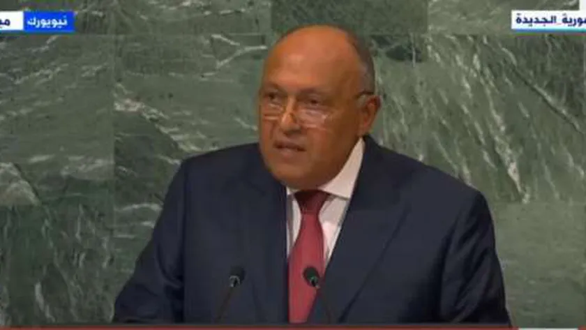 سامح شكري وزير الخارجية