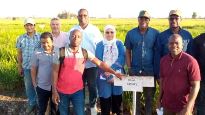 وفد كوت ديفوار