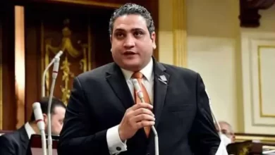 النائب عماد خليل - عضو مجلس النواب