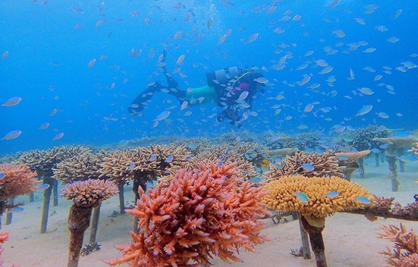 889966554122665554544