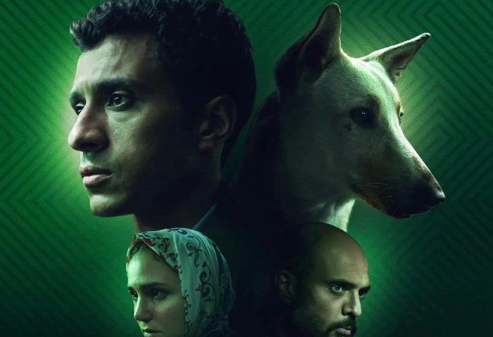 47701674939935202412160543164316