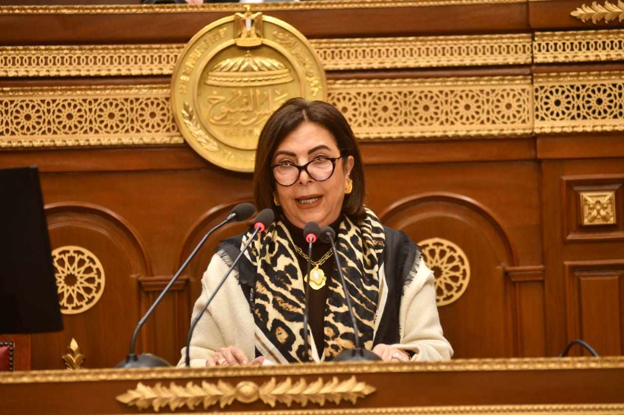 0b700b-10b1-47cf-b90b-75aca86cf النائبة هالة كمال