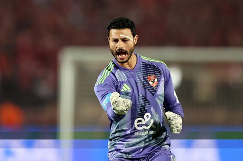 mohamed-alshenawy-2025