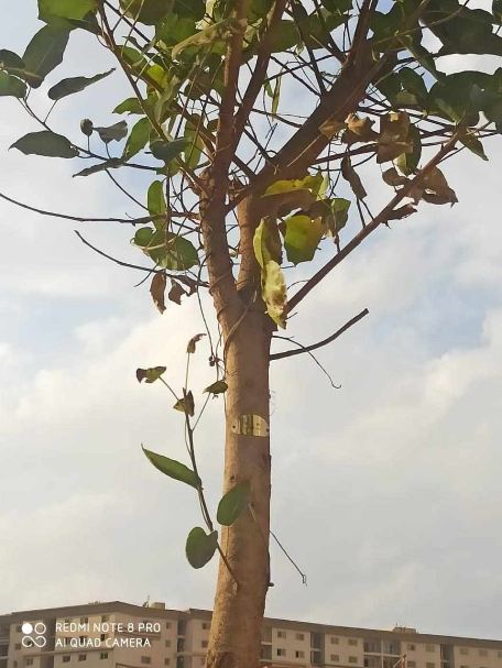 54014125002150125402